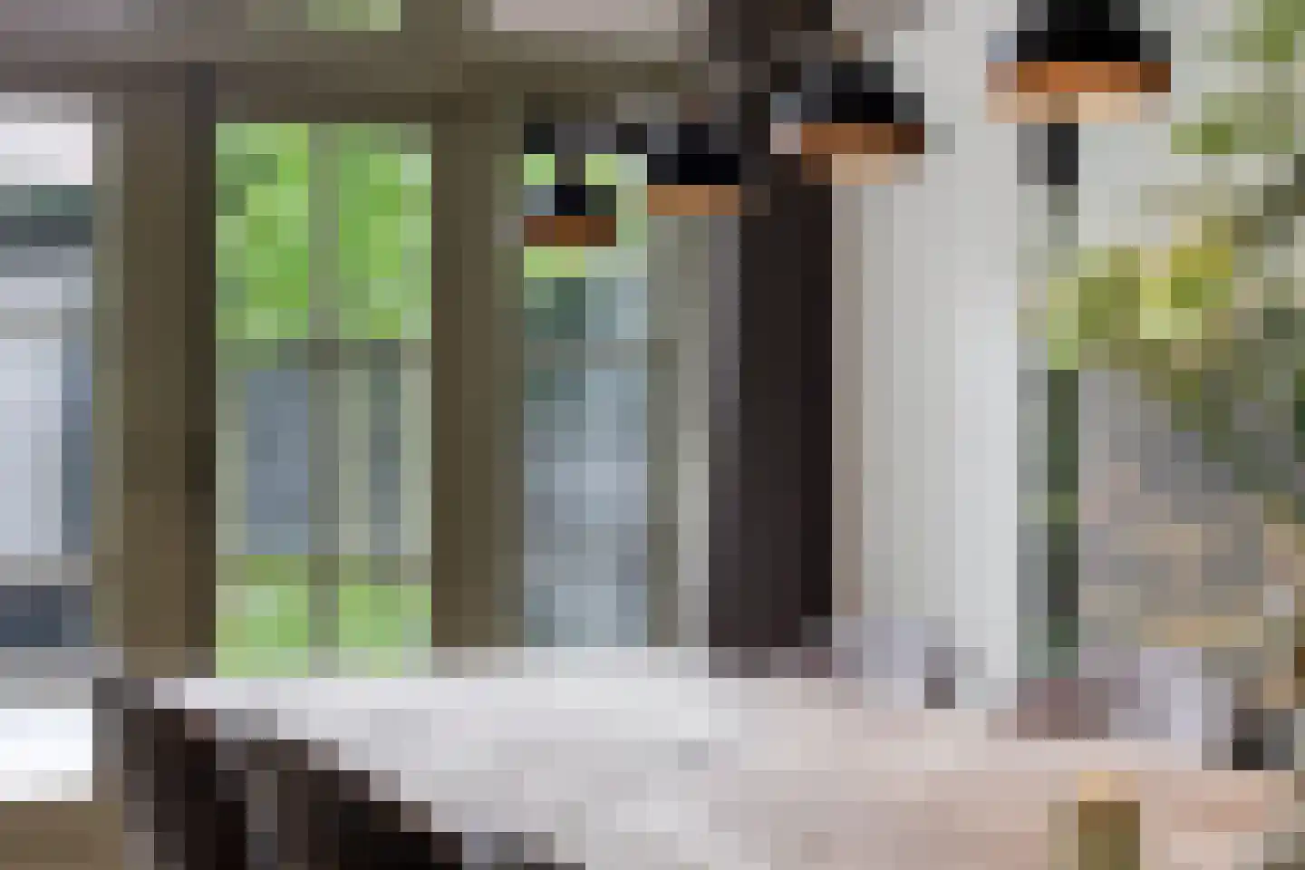 Ruitenborghstraat 24 Dalfsen thumbnail 13