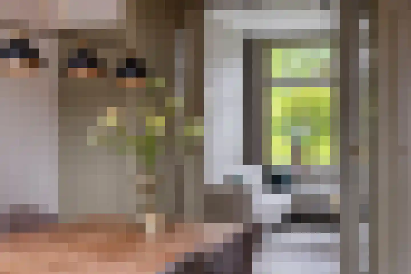 Ruitenborghstraat 24 Dalfsen thumbnail 14