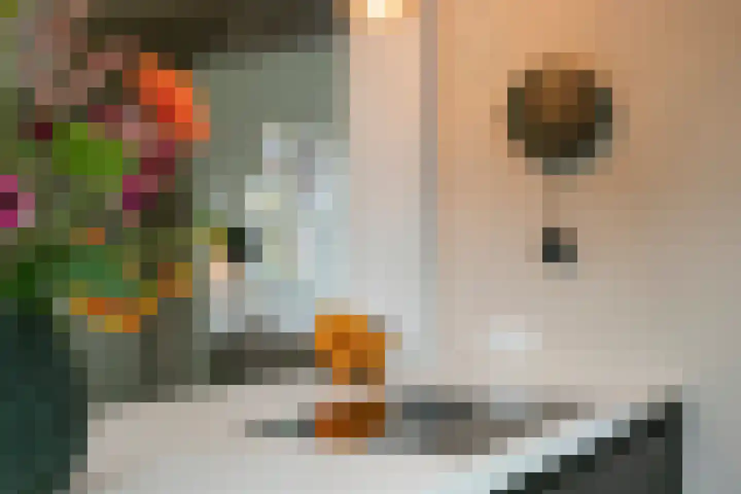 Ruitenborghstraat 24 Dalfsen thumbnail 16