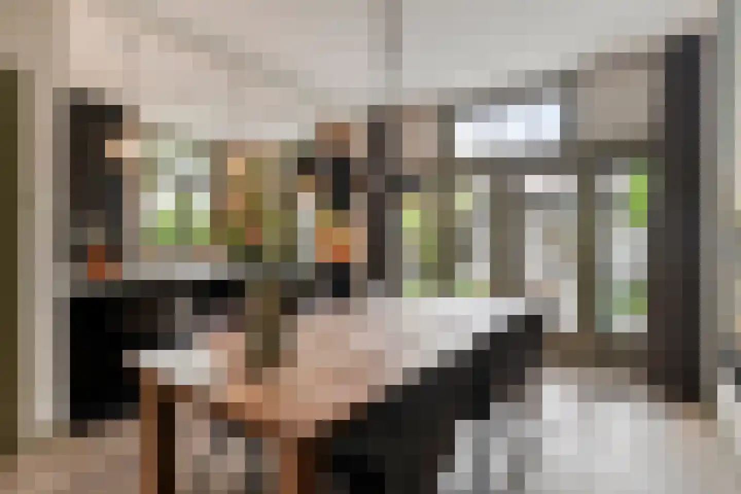 Ruitenborghstraat 24 Dalfsen thumbnail 18