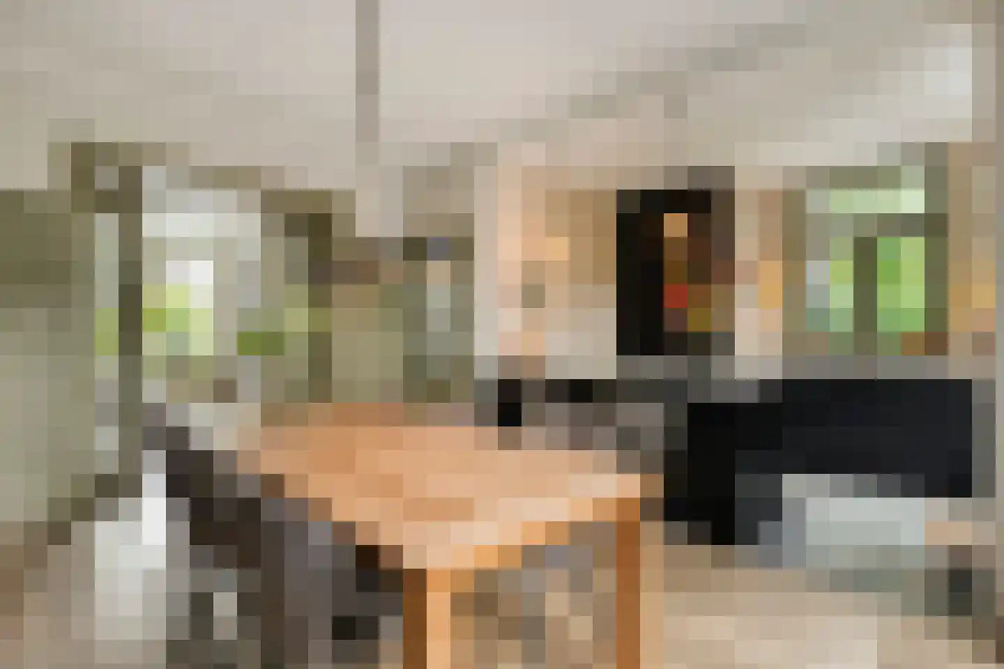 Ruitenborghstraat 24 Dalfsen thumbnail 19