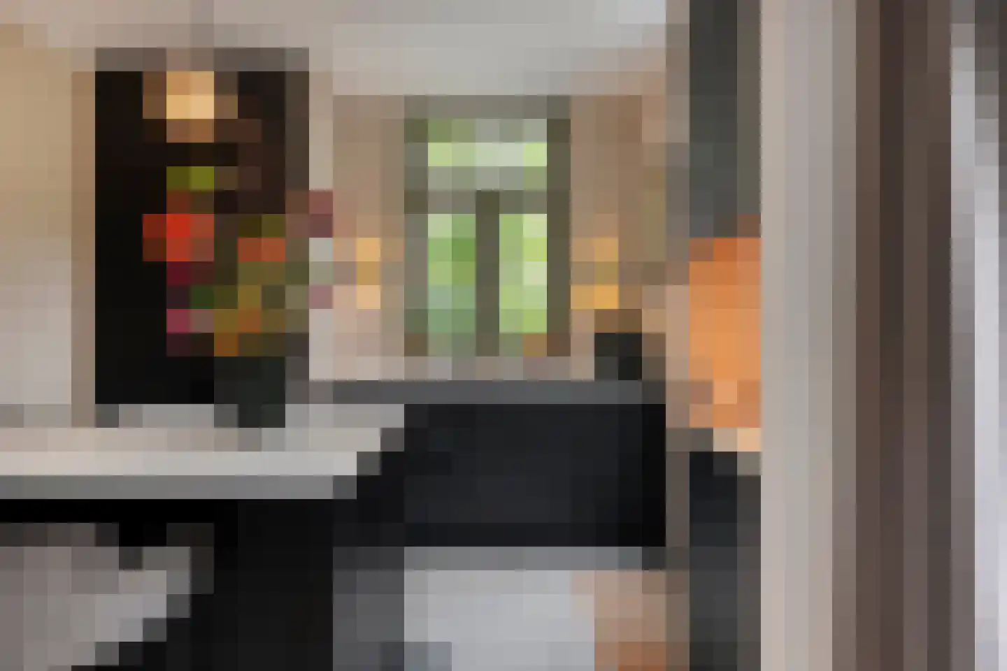 Ruitenborghstraat 24 Dalfsen thumbnail 20