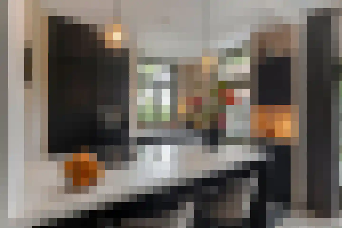 Ruitenborghstraat 24 Dalfsen thumbnail 22