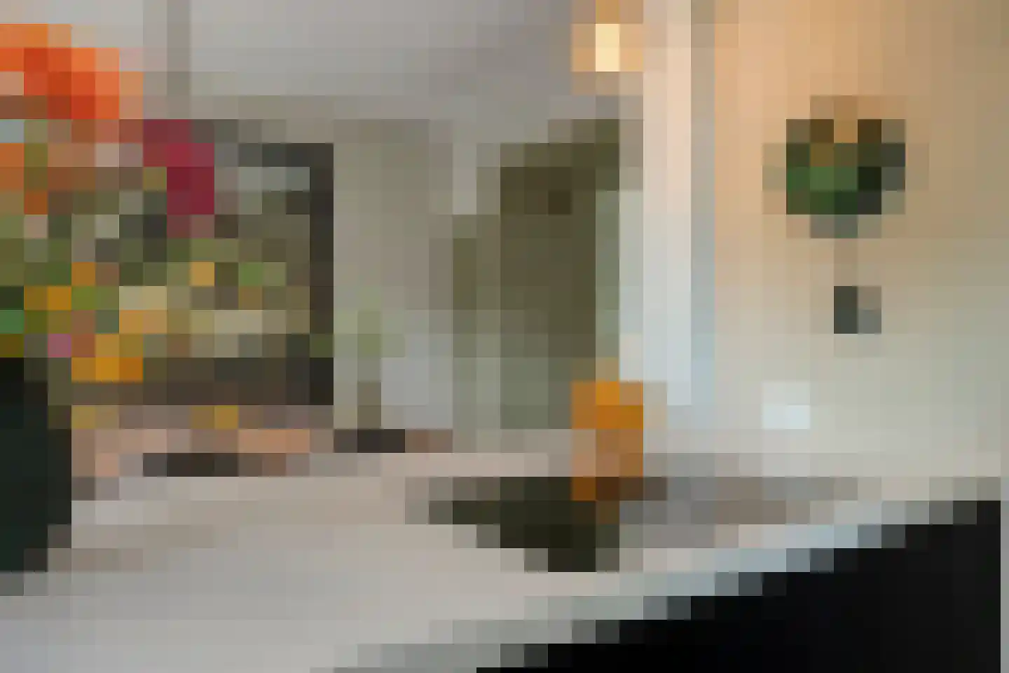 Ruitenborghstraat 24 Dalfsen thumbnail 24