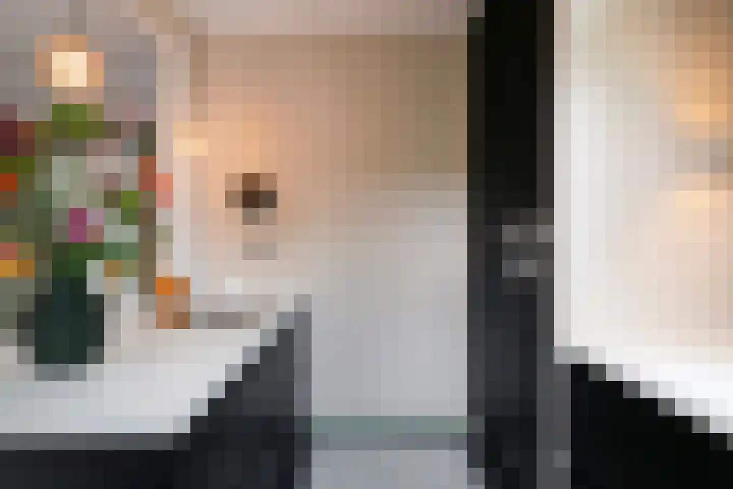 Ruitenborghstraat 24 Dalfsen thumbnail 26