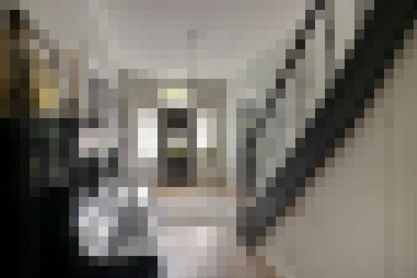 Ruitenborghstraat 24 Dalfsen thumbnail 27