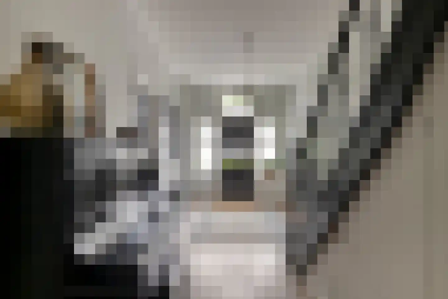 Ruitenborghstraat 24 Dalfsen thumbnail 28