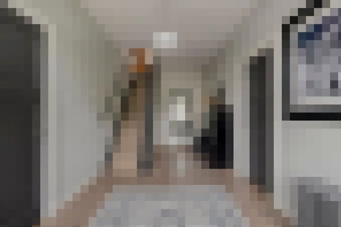 Ruitenborghstraat 24 Dalfsen thumbnail 30