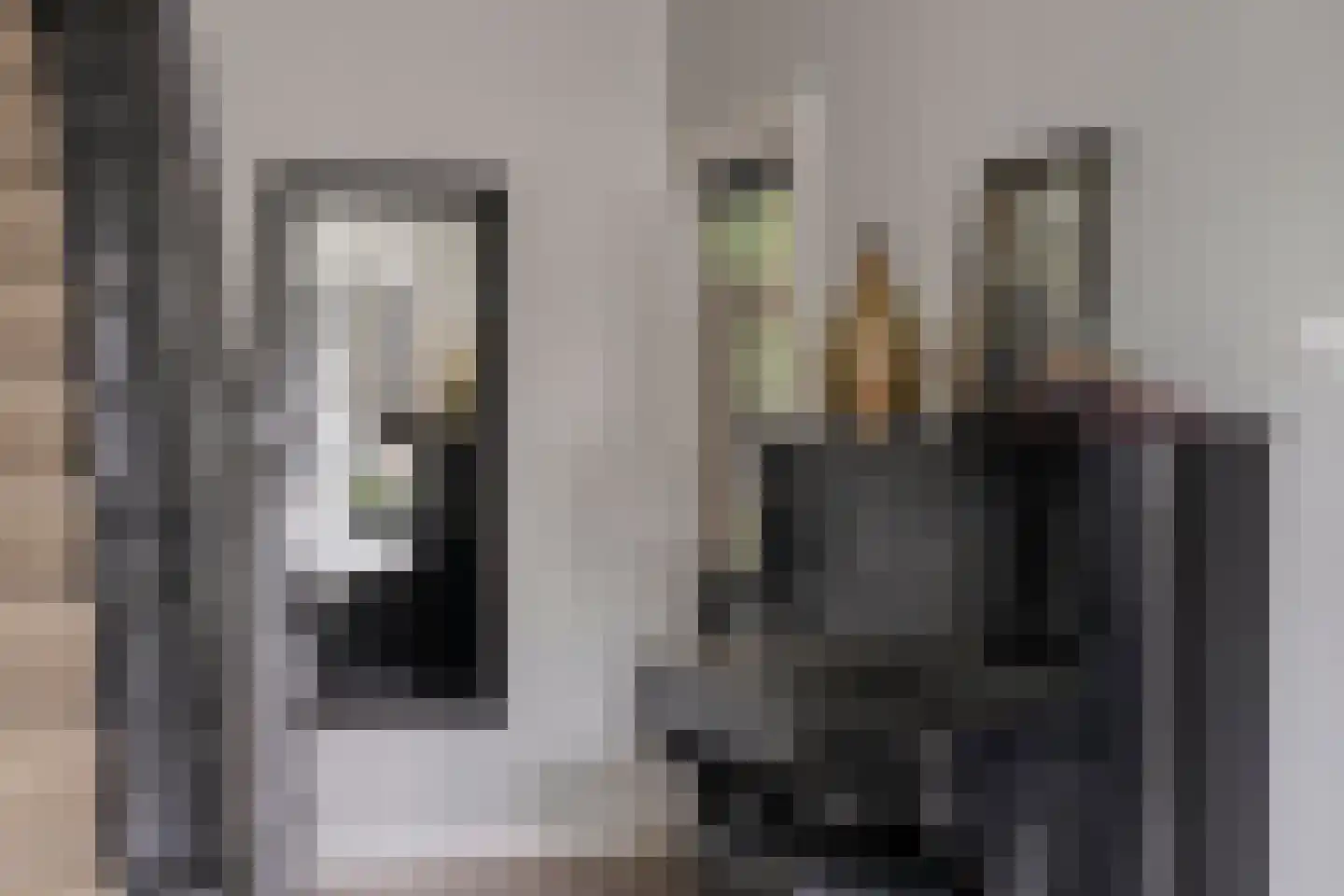 Ruitenborghstraat 24 Dalfsen thumbnail 33