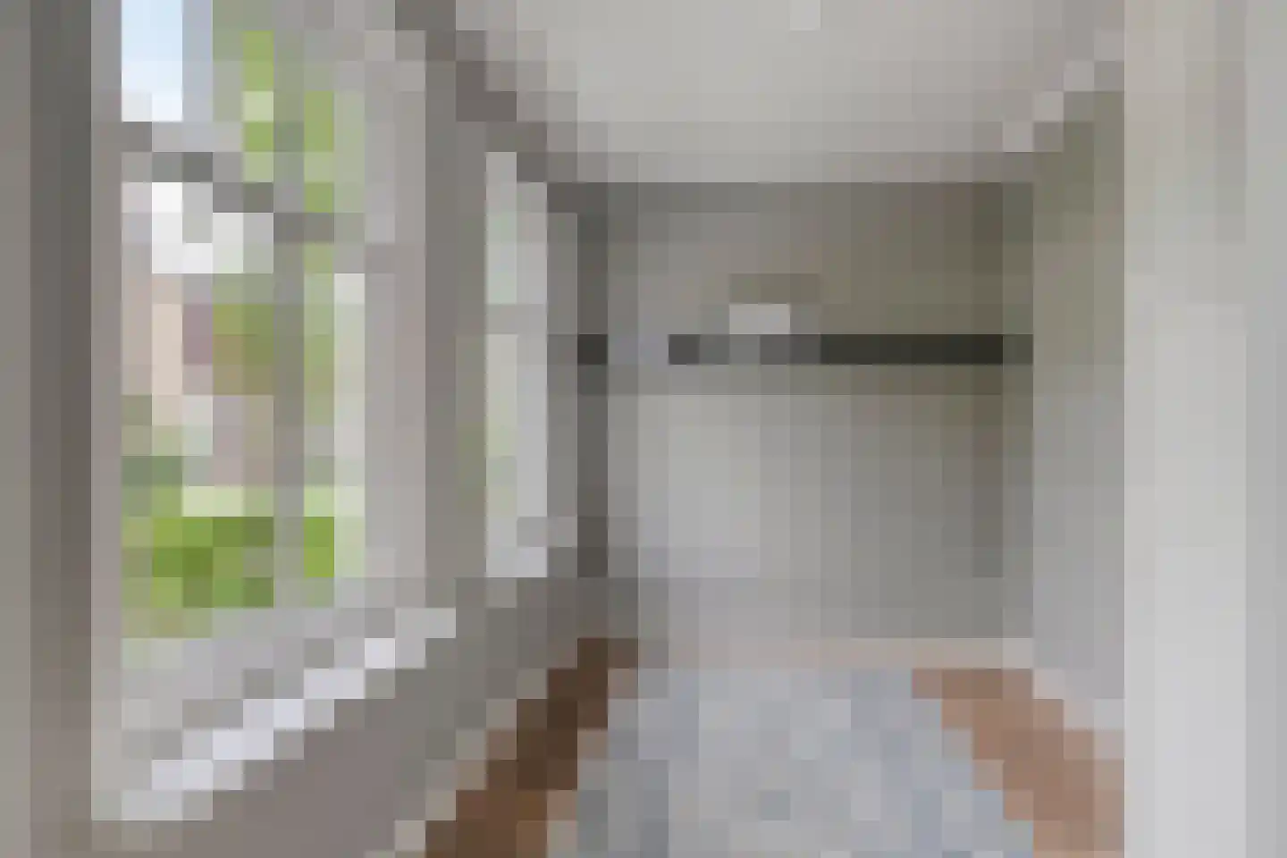 Ruitenborghstraat 24 Dalfsen thumbnail 35