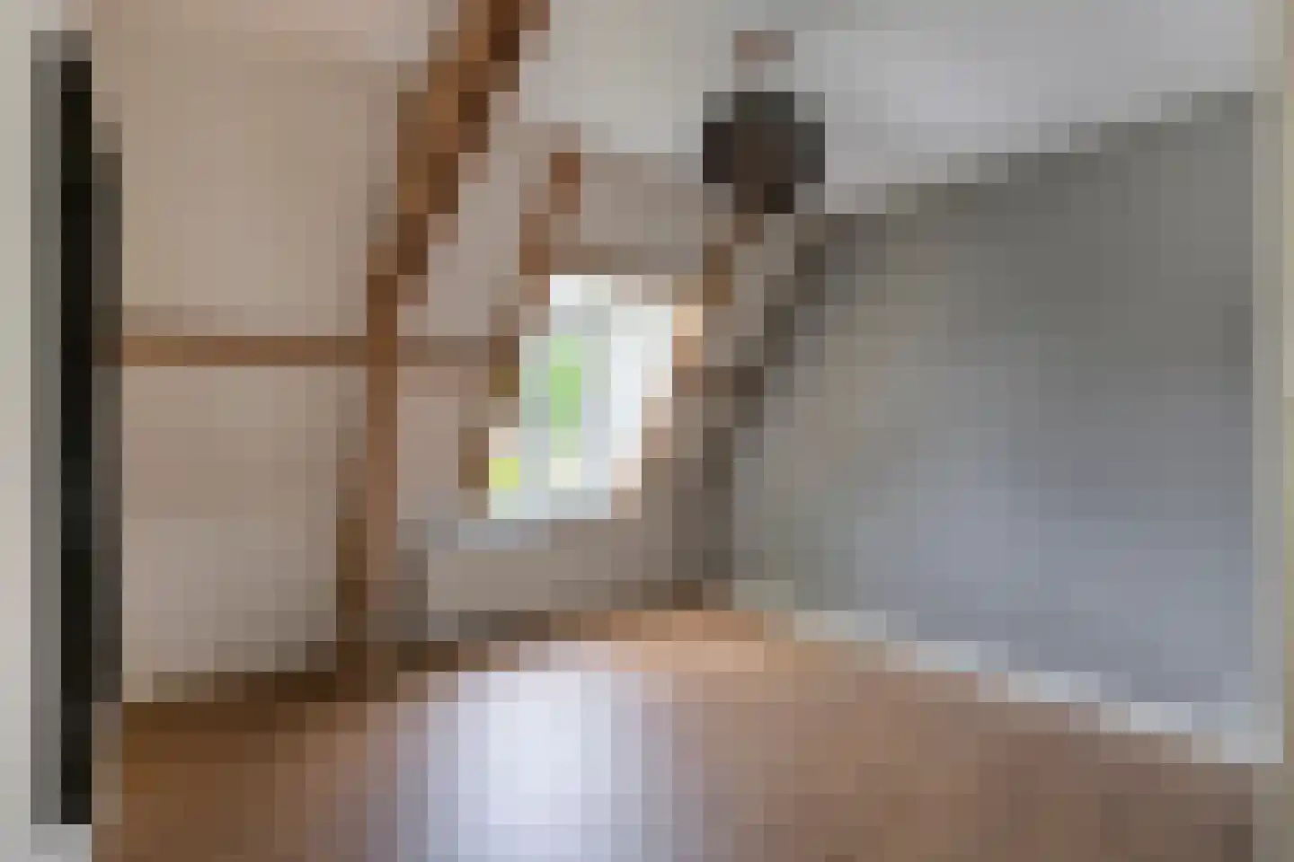 Ruitenborghstraat 24 Dalfsen thumbnail 39