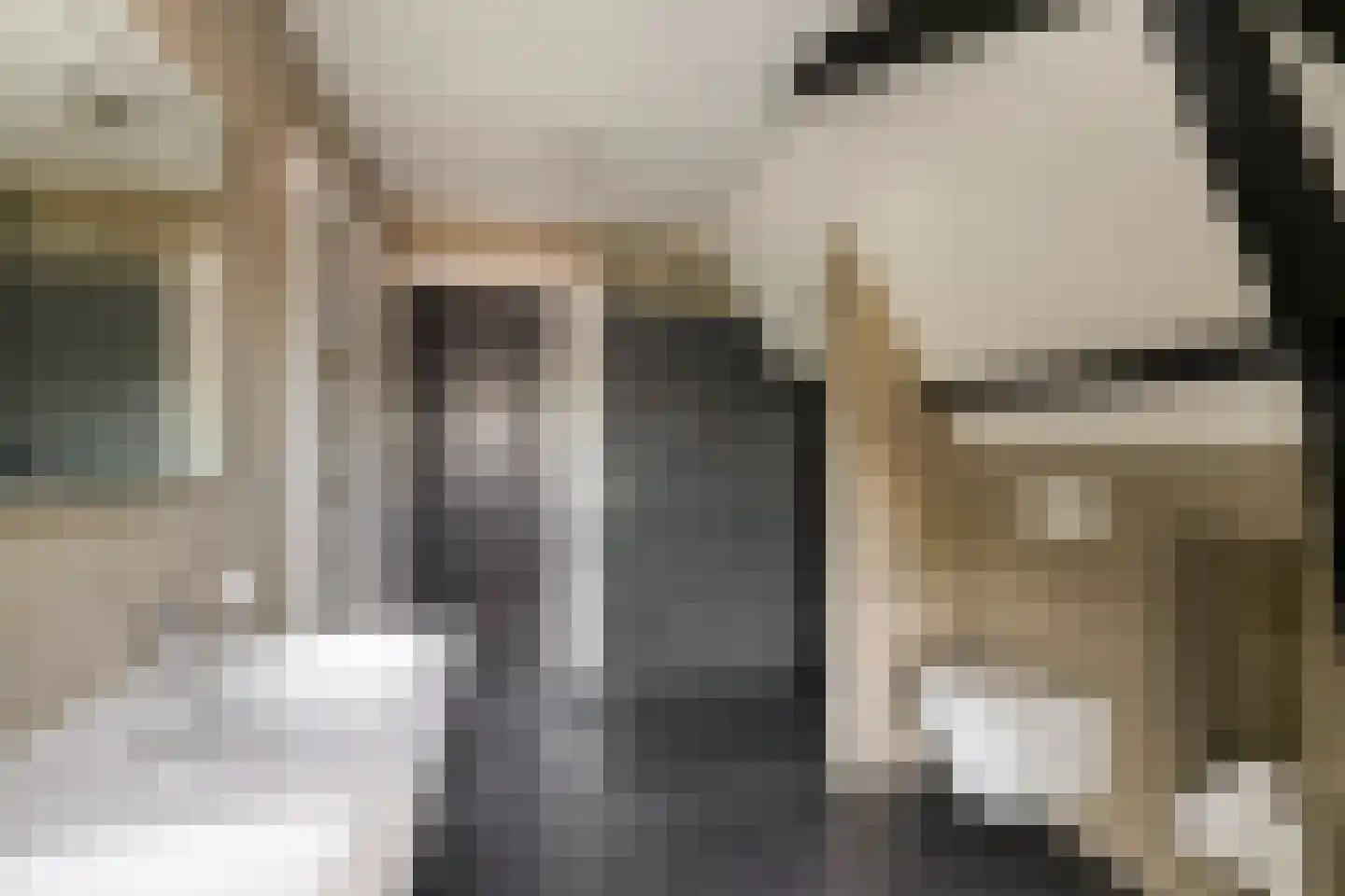 Ruitenborghstraat 24 Dalfsen thumbnail 4