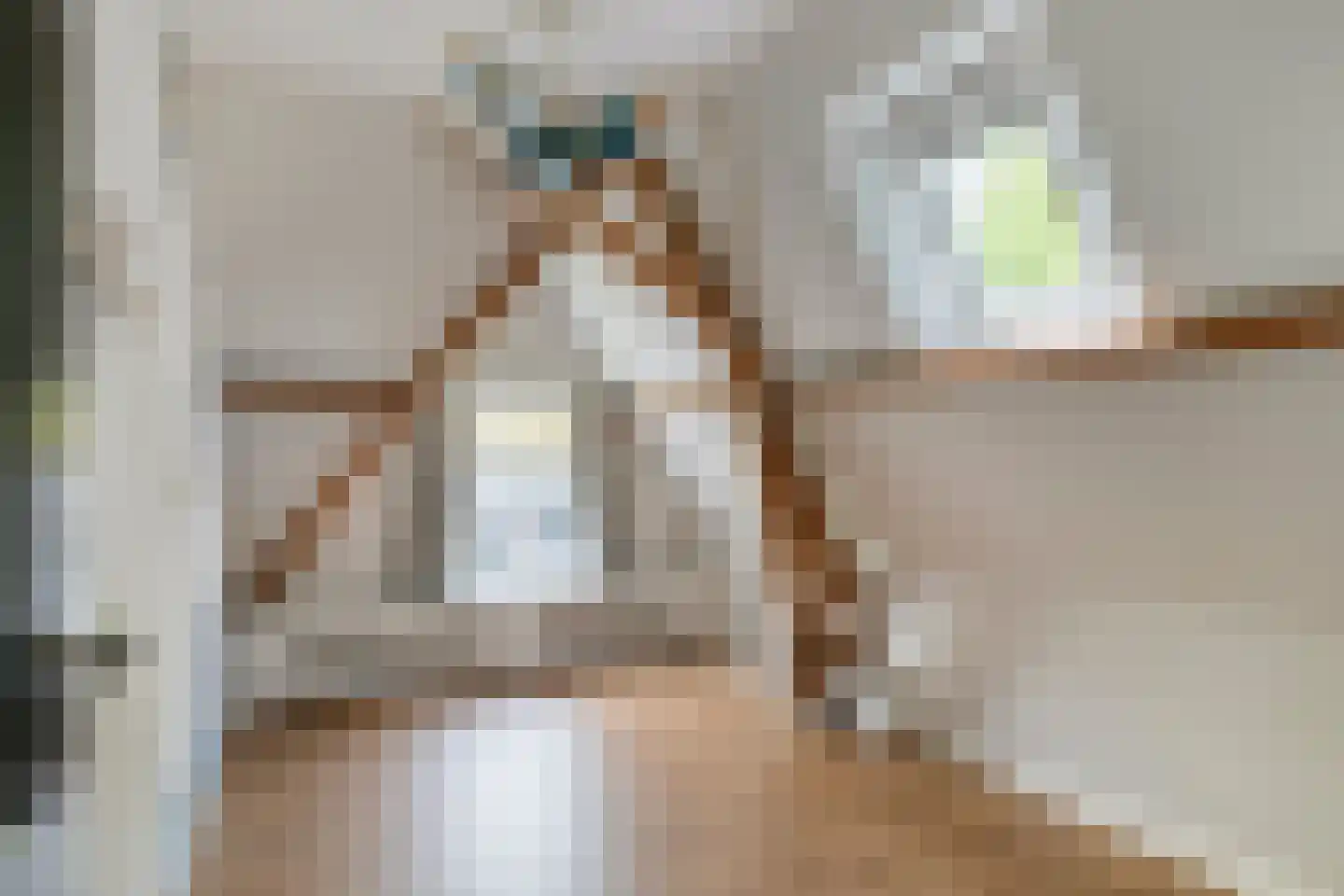 Ruitenborghstraat 24 Dalfsen thumbnail 41