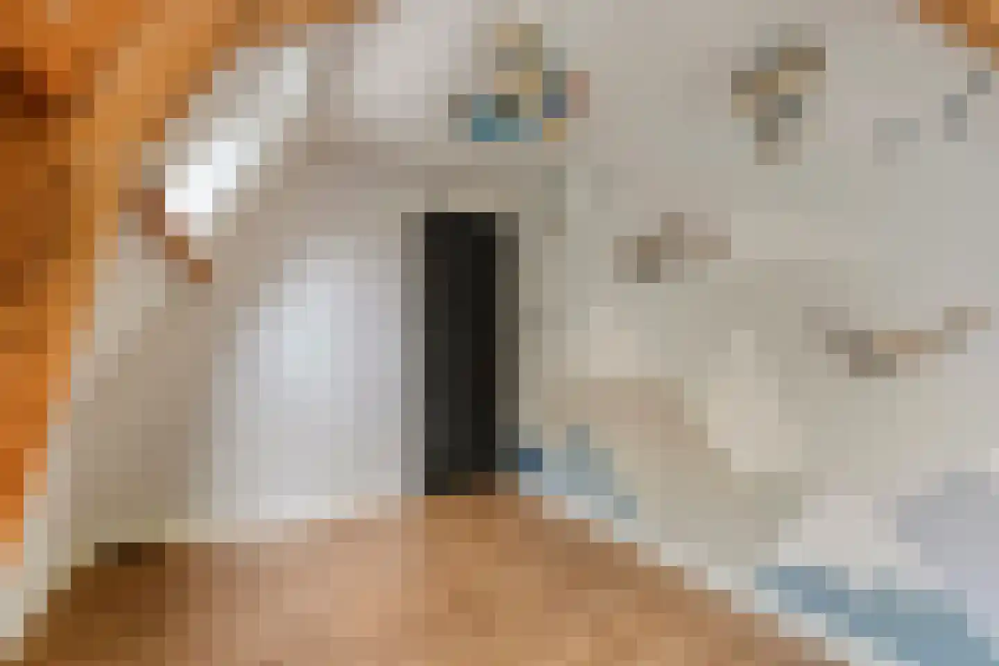 Ruitenborghstraat 24 Dalfsen thumbnail 42