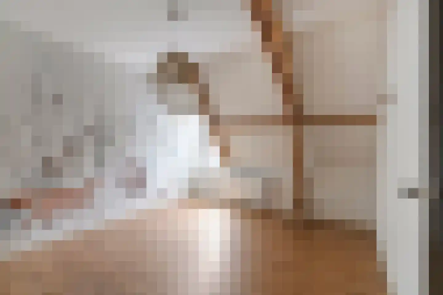 Ruitenborghstraat 24 Dalfsen thumbnail 44
