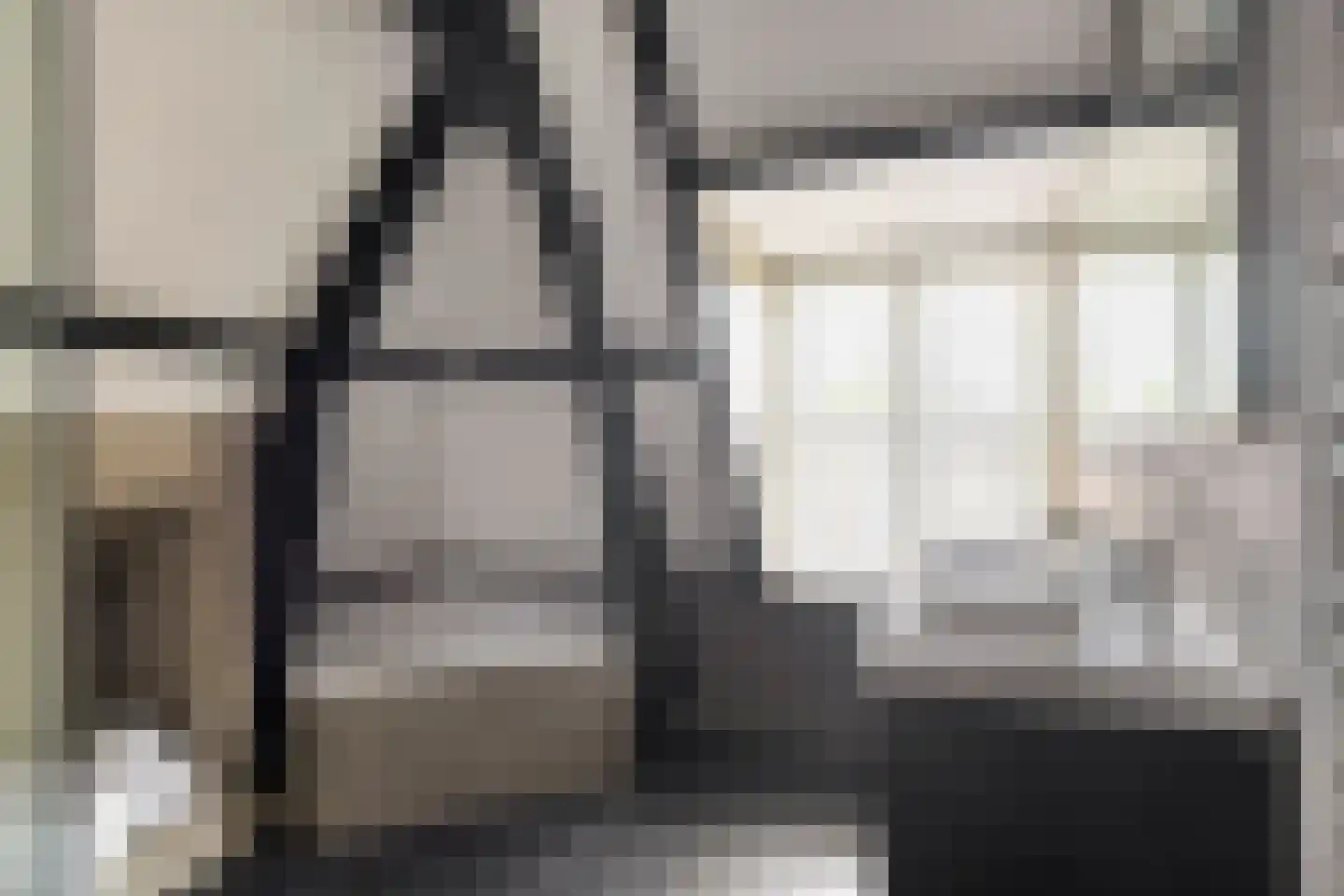 Ruitenborghstraat 24 Dalfsen thumbnail 46