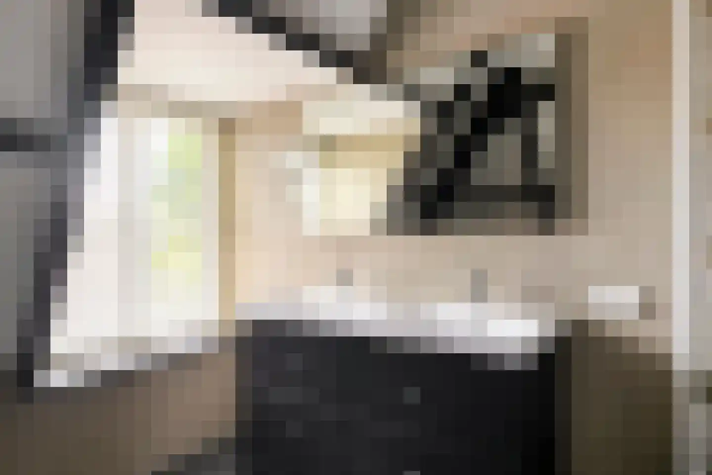 Ruitenborghstraat 24 Dalfsen thumbnail 47