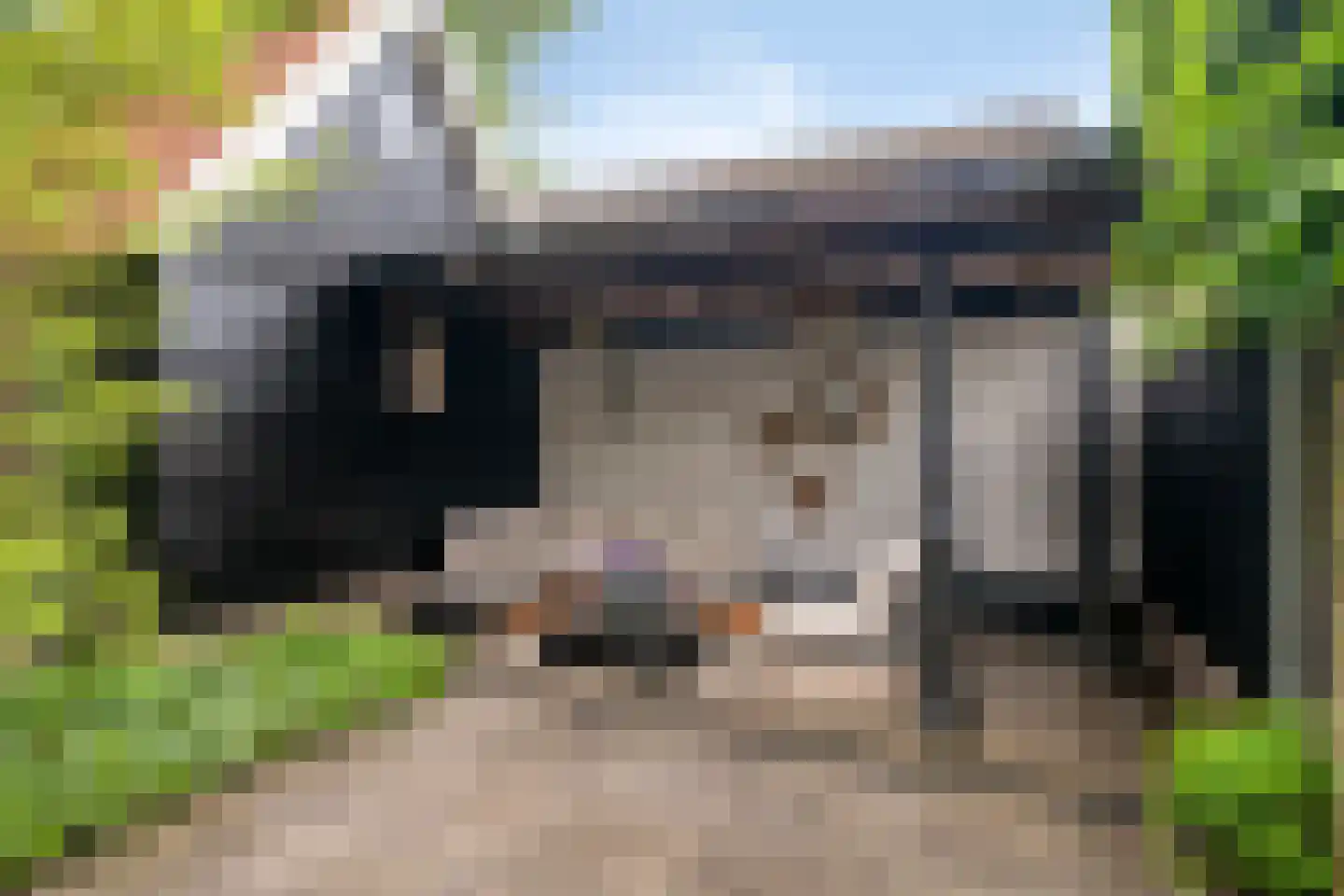 Ruitenborghstraat 24 Dalfsen thumbnail 51