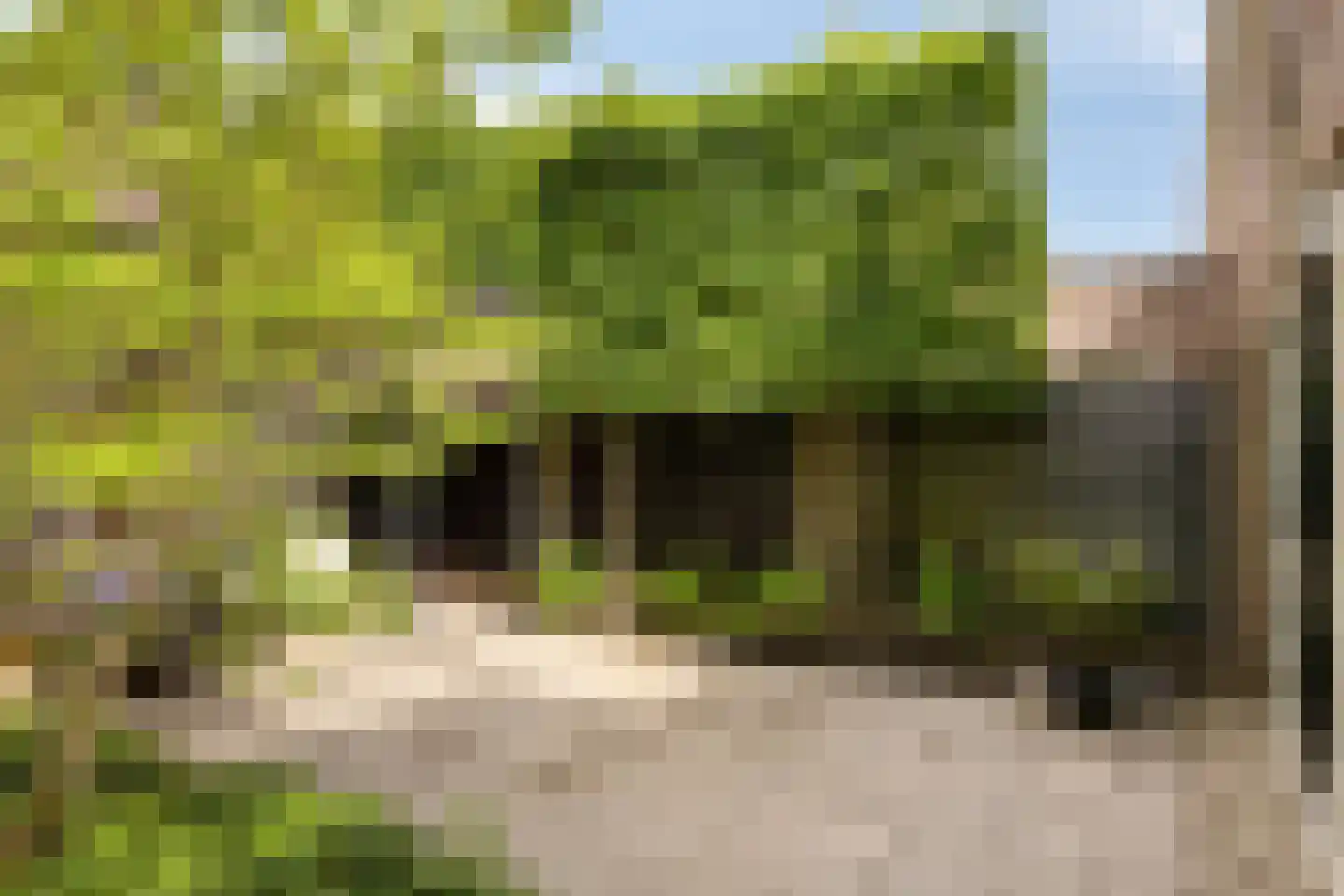 Ruitenborghstraat 24 Dalfsen thumbnail 51