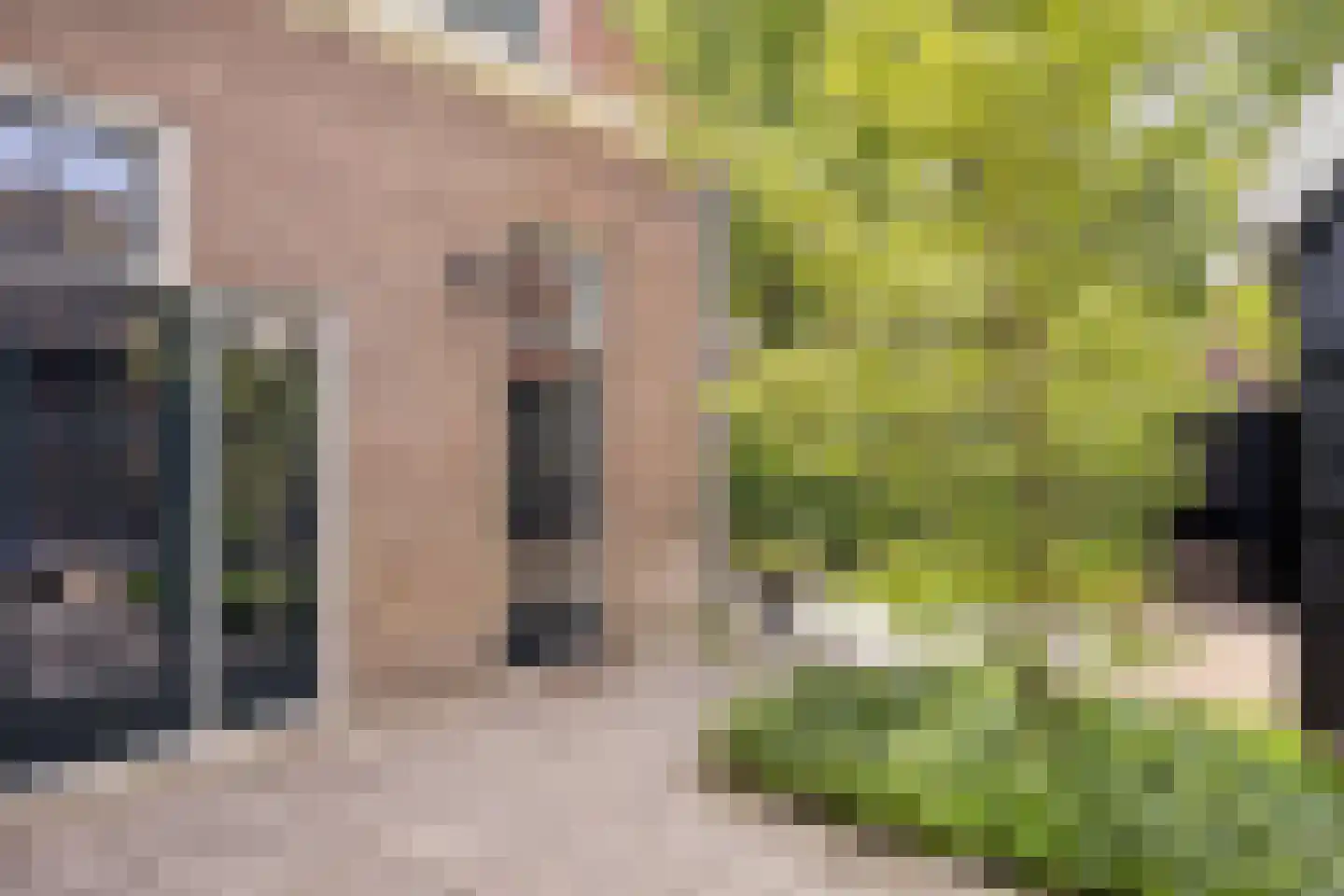 Ruitenborghstraat 24 Dalfsen thumbnail 52