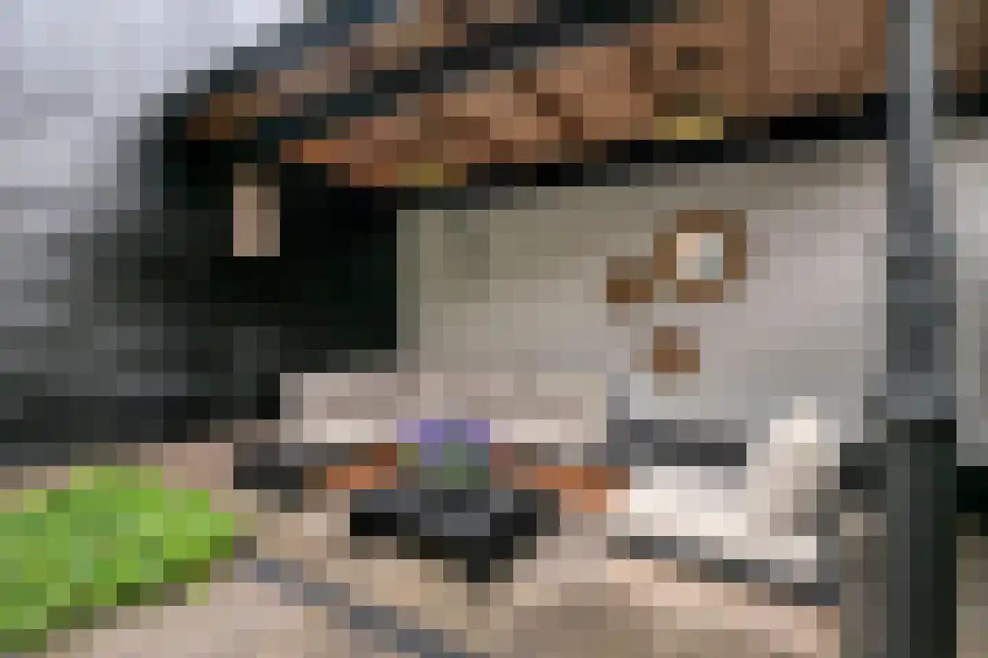 Ruitenborghstraat 24 Dalfsen thumbnail 52