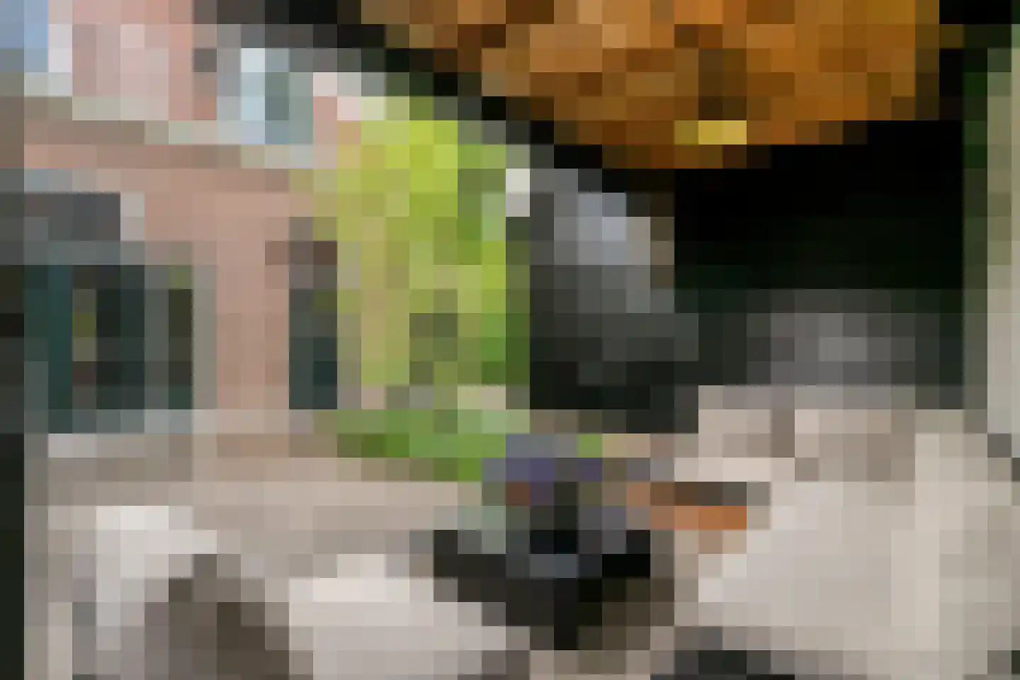 Ruitenborghstraat 24 Dalfsen thumbnail 53