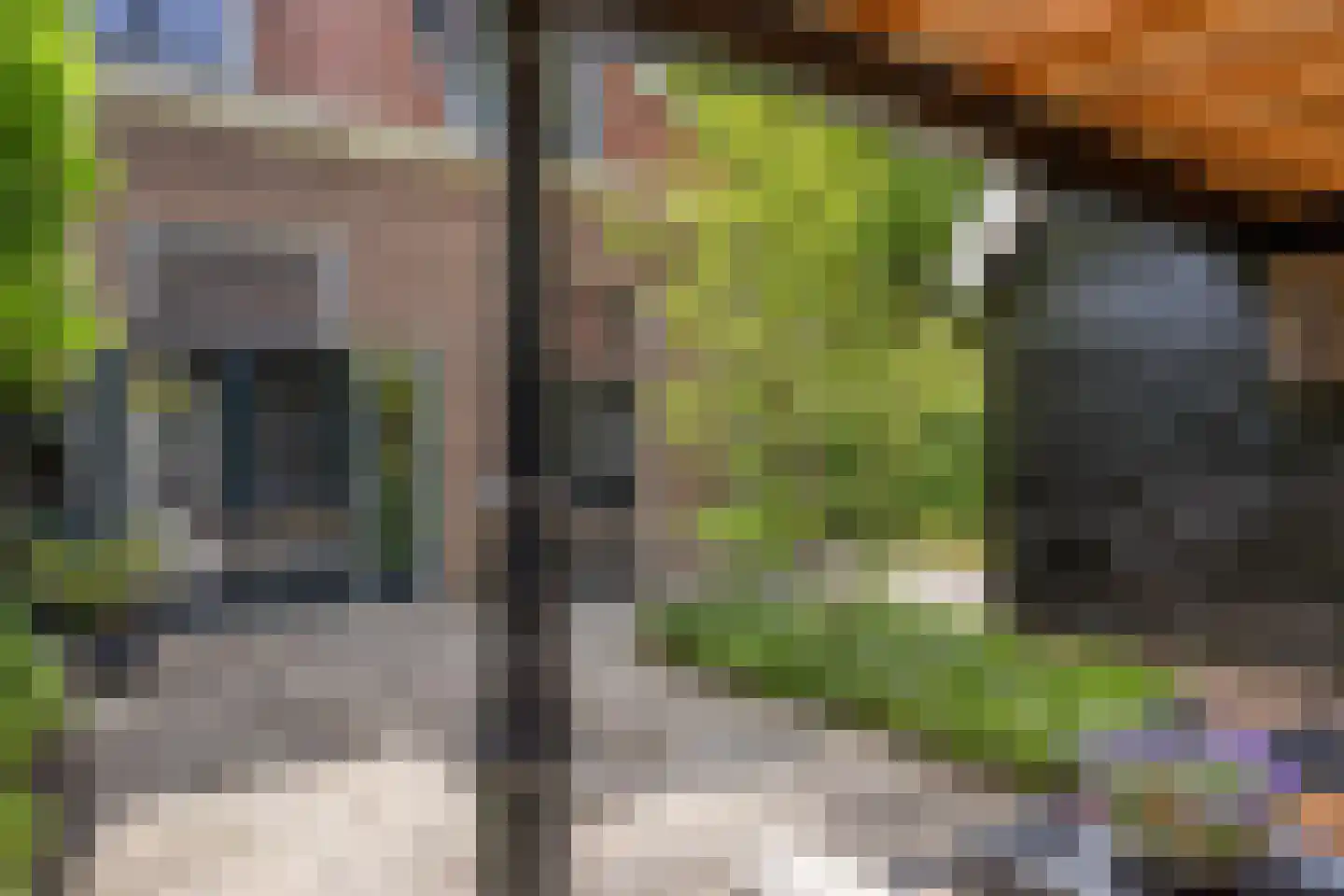 Ruitenborghstraat 24 Dalfsen thumbnail 55