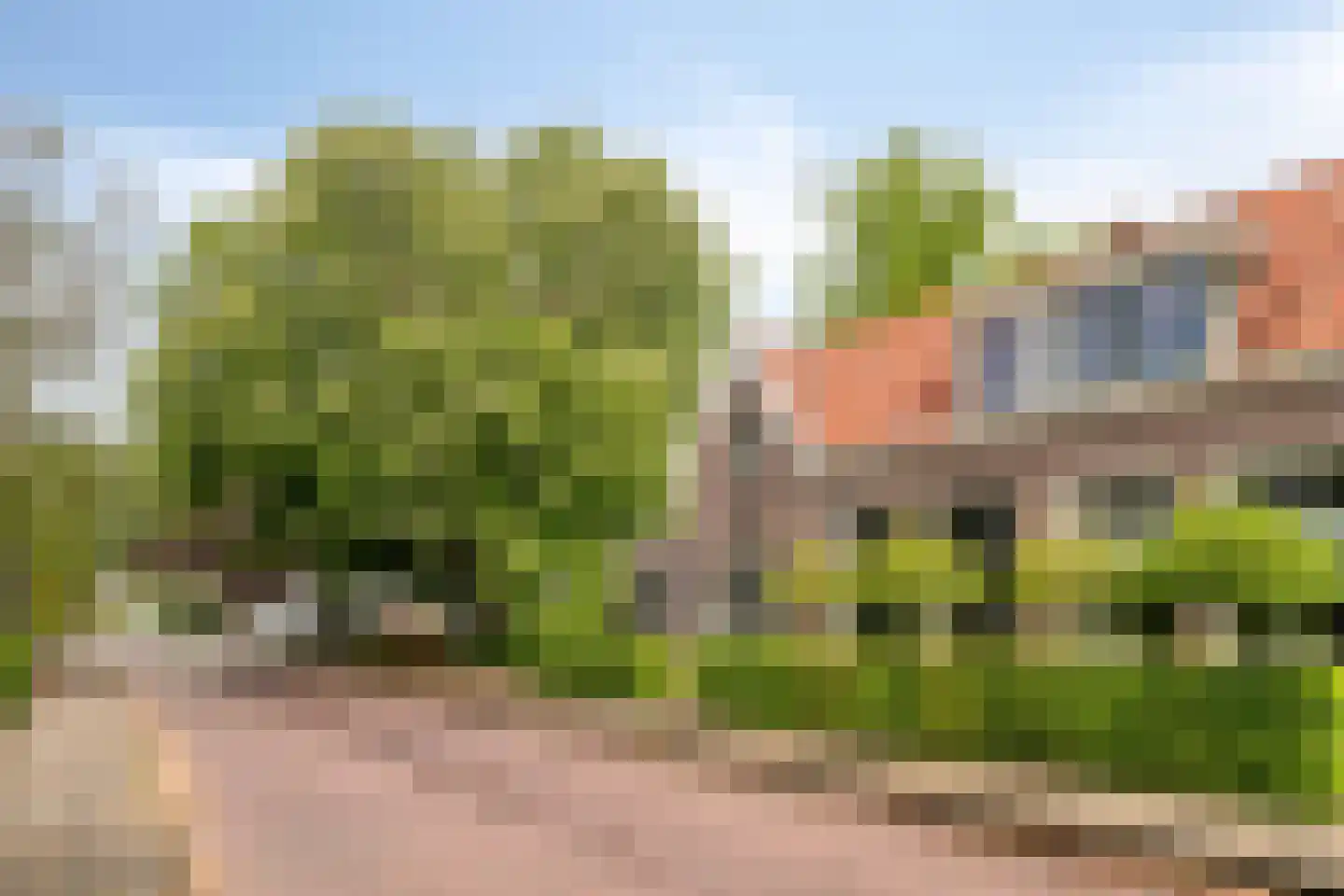 Ruitenborghstraat 24 Dalfsen thumbnail 56