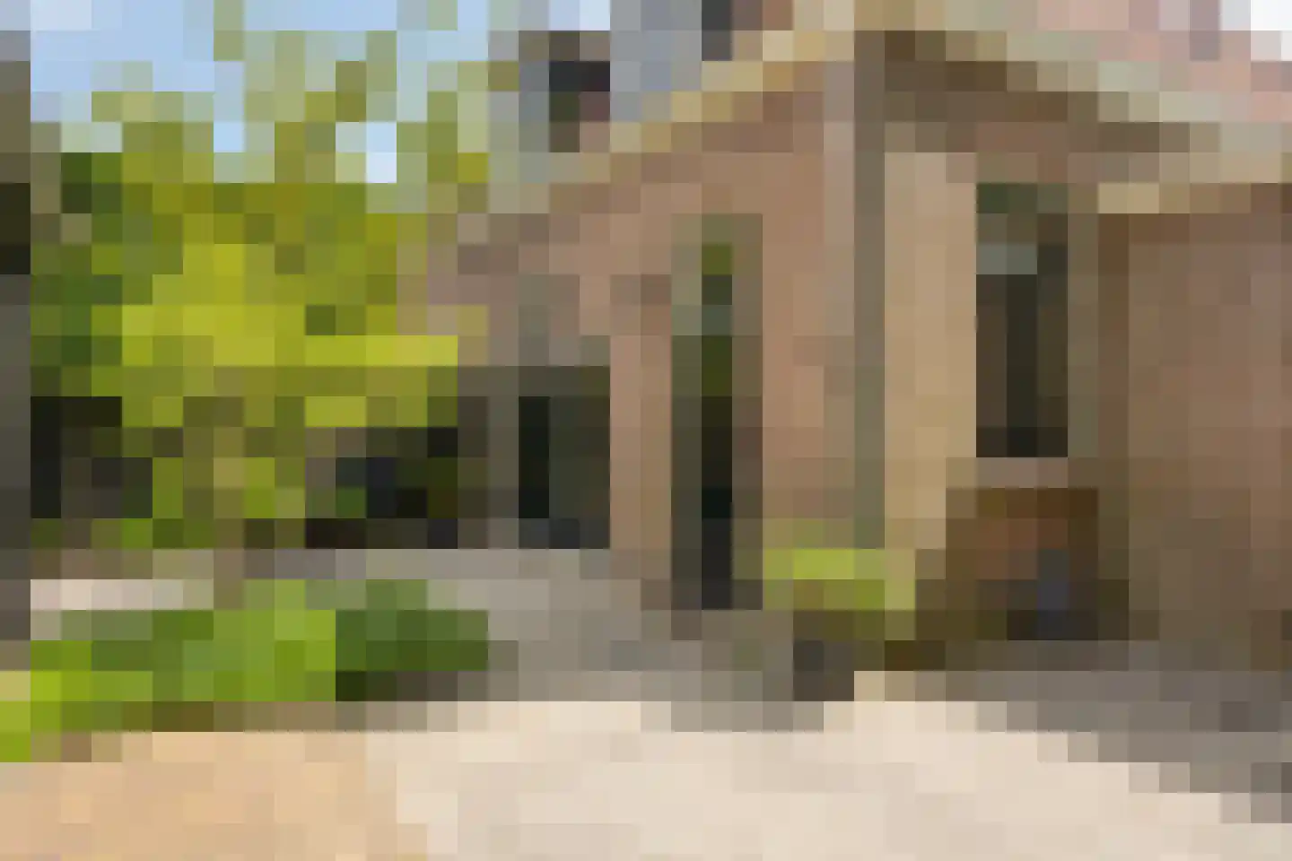 Ruitenborghstraat 24 Dalfsen thumbnail 57