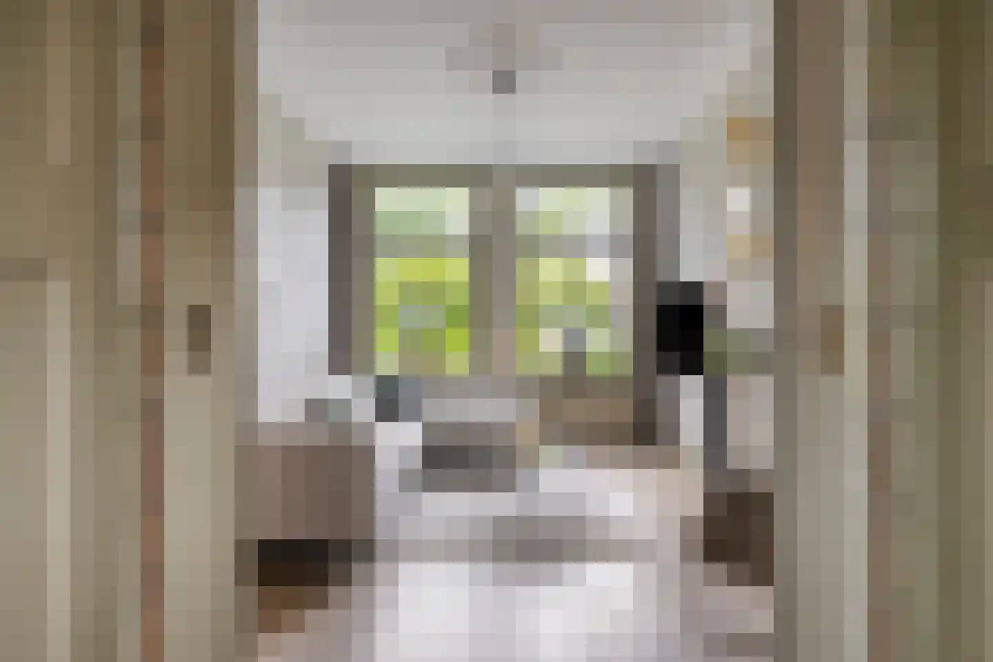 Ruitenborghstraat 24 Dalfsen thumbnail 6
