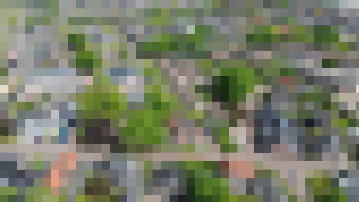 Ruitenborghstraat 24 Dalfsen thumbnail 60