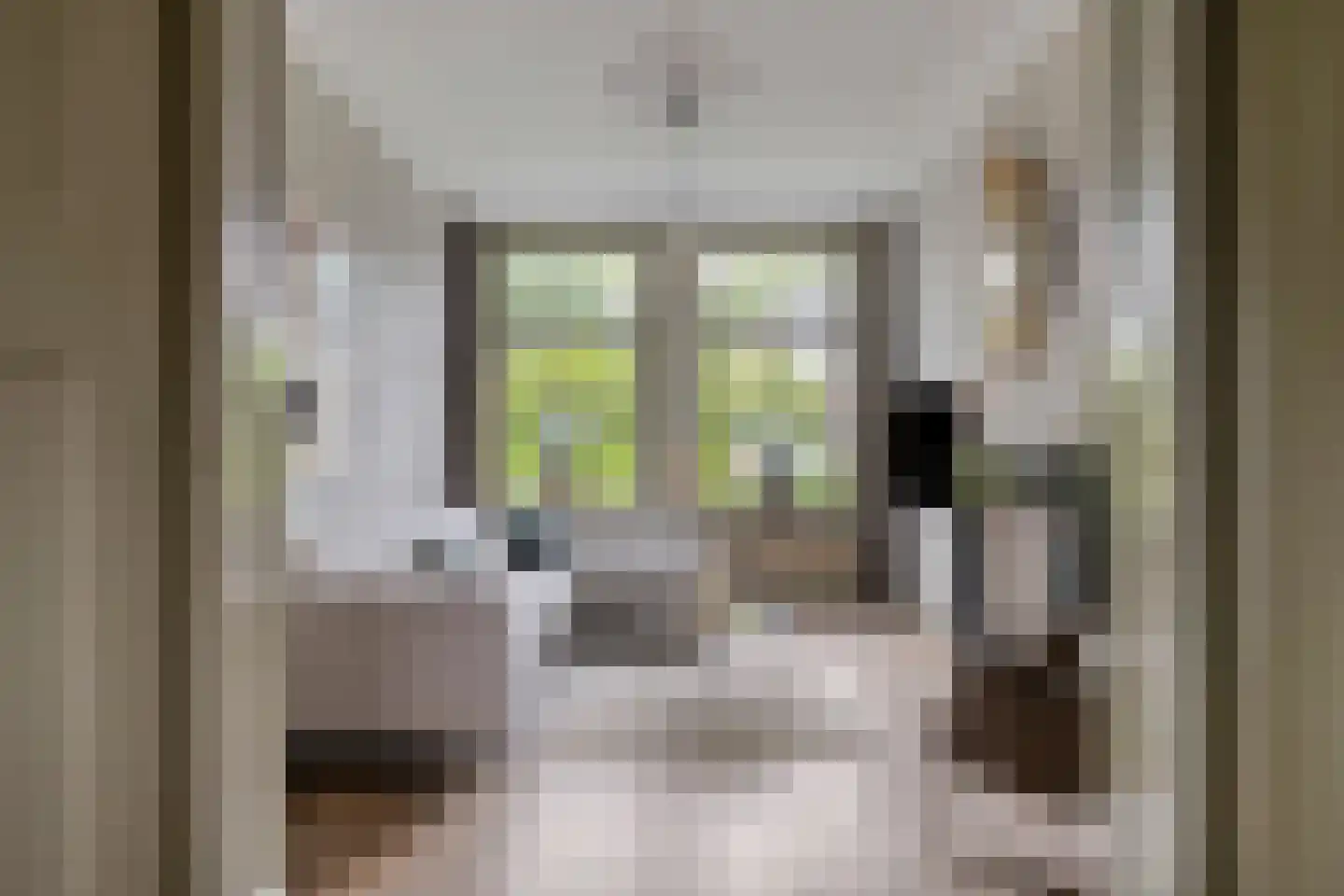 Ruitenborghstraat 24 Dalfsen thumbnail 7