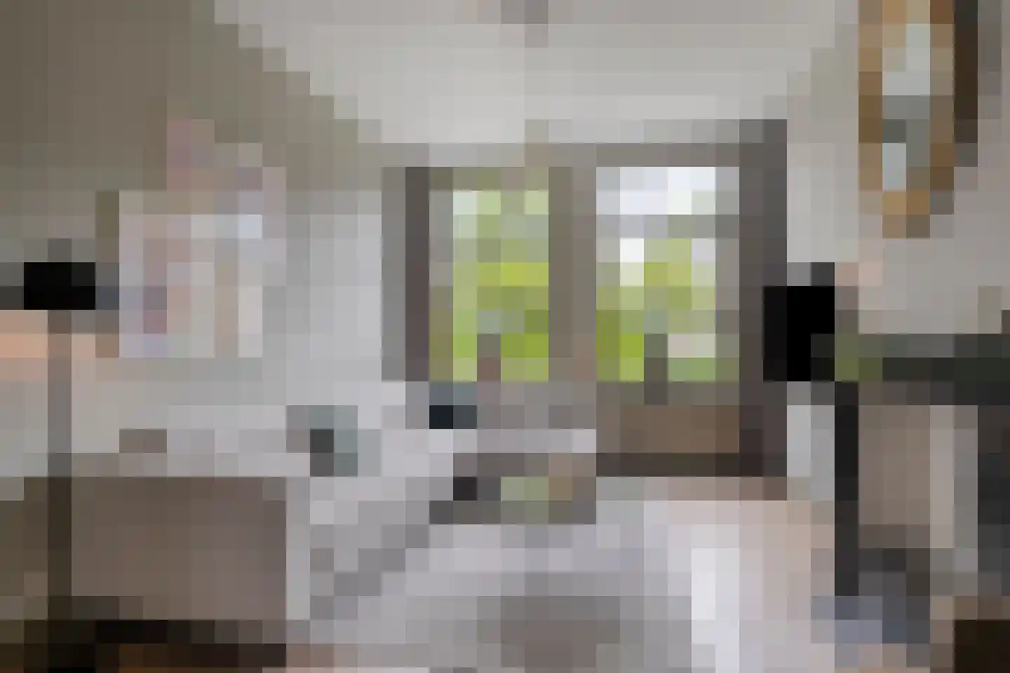 Ruitenborghstraat 24 Dalfsen thumbnail 9