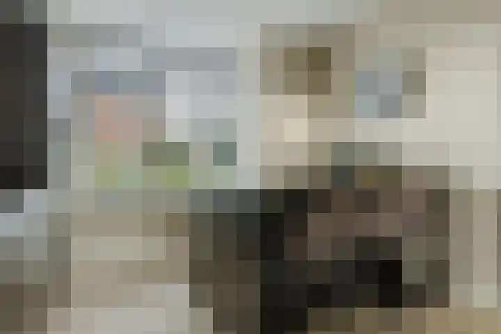 Ruitenheerhof 12 Sprundel thumbnail 10