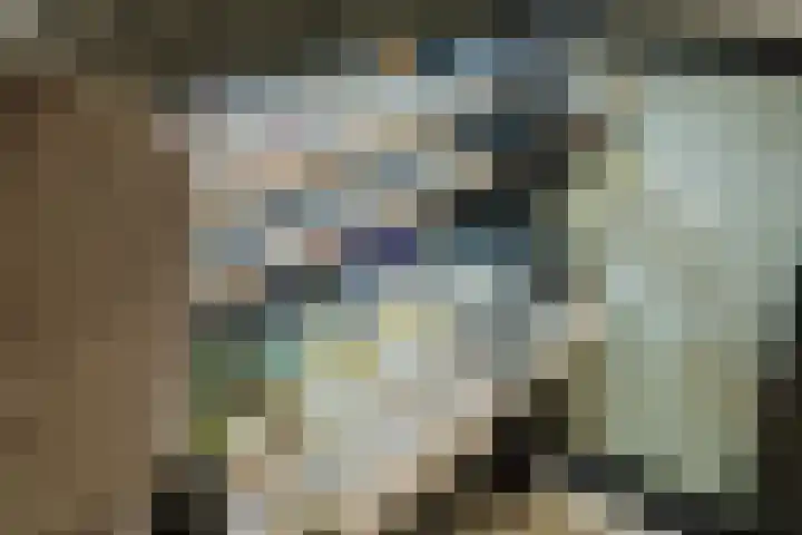 Ruitenheerhof 12 Sprundel thumbnail 11