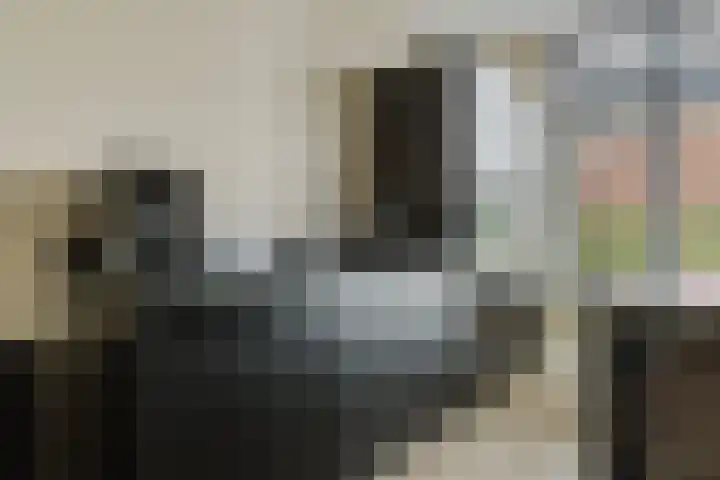 Ruitenheerhof 12 Sprundel thumbnail 13
