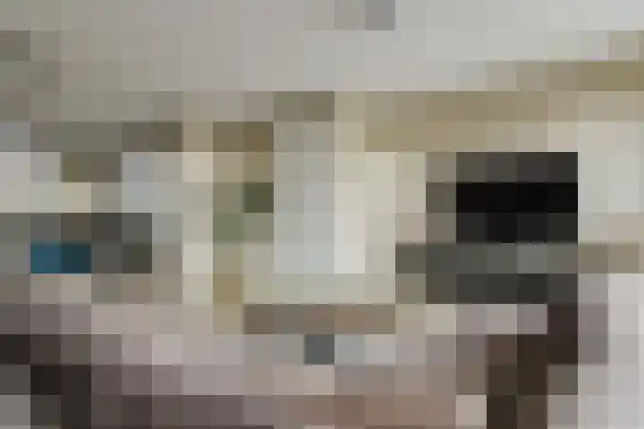 Ruitenheerhof 12 Sprundel thumbnail 18