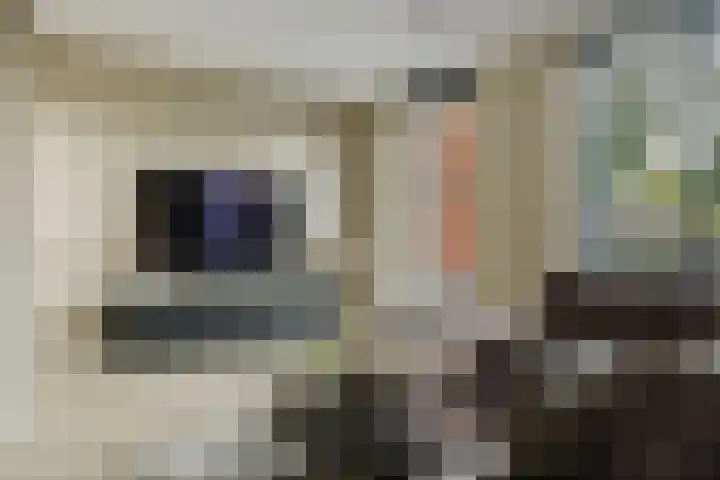 Ruitenheerhof 12 Sprundel thumbnail 19