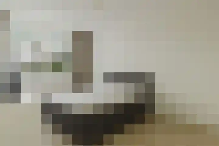 Ruitenheerhof 12 Sprundel thumbnail 22