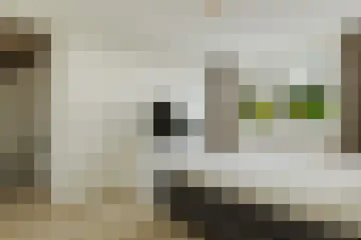 Ruitenheerhof 12 Sprundel thumbnail 23