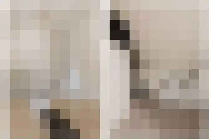 Ruitenheerhof 12 Sprundel thumbnail 28