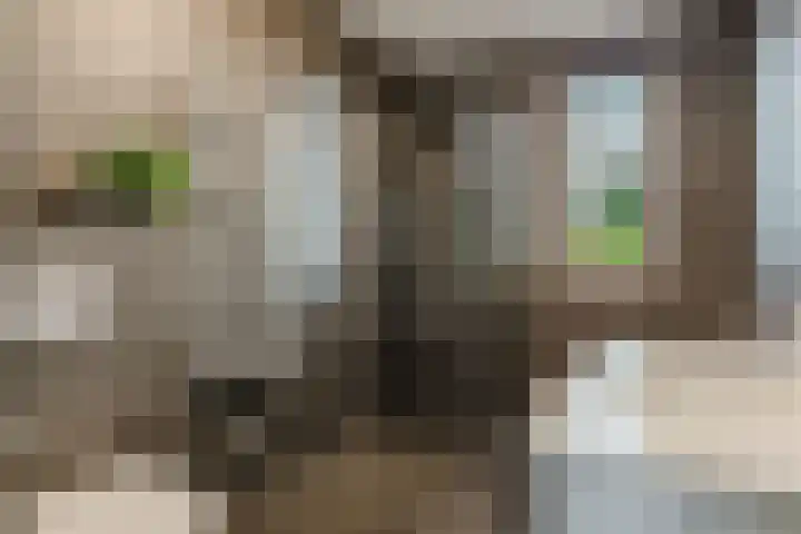 Ruitenheerhof 12 Sprundel thumbnail 29