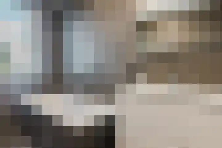 Ruitenheerhof 12 Sprundel thumbnail 30