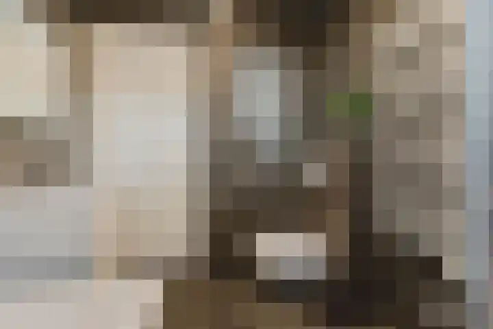 Ruitenheerhof 12 Sprundel thumbnail 31