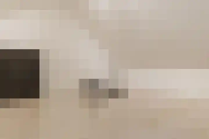 Ruitenheerhof 12 Sprundel thumbnail 34