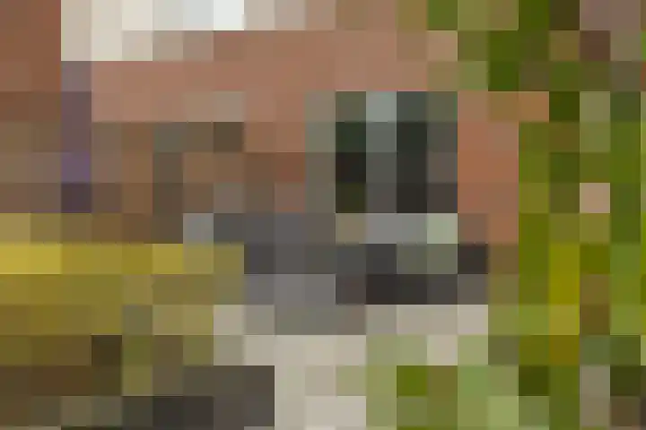 Ruitenheerhof 12 Sprundel thumbnail 36