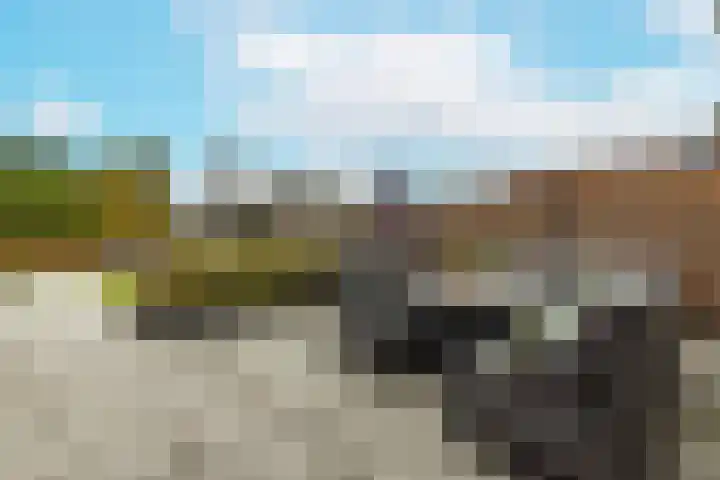 Ruitenheerhof 12 Sprundel thumbnail 37