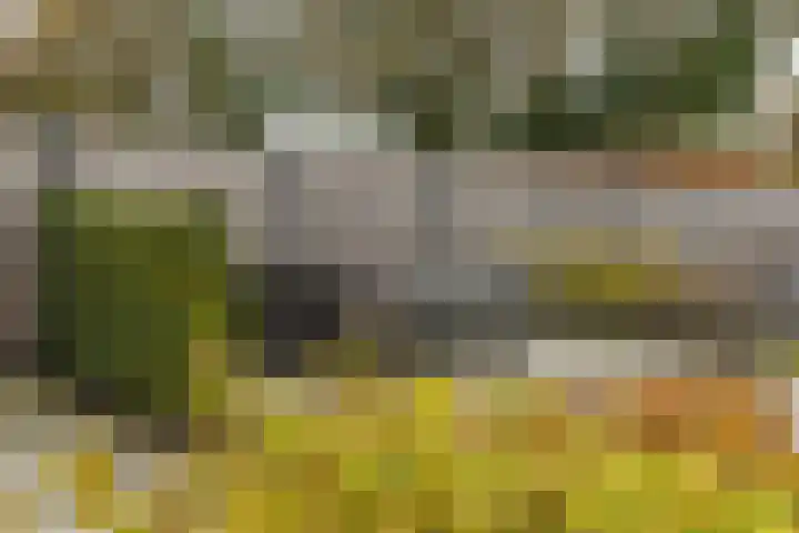 Ruitenheerhof 12 Sprundel thumbnail 38