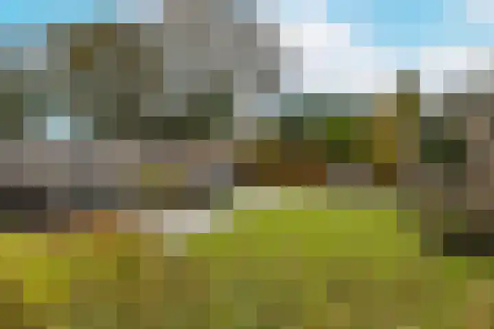 Ruitenheerhof 12 Sprundel thumbnail 39