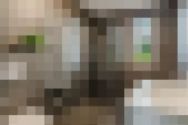 Ruitenheerhof 12 Sprundel thumbnail 5